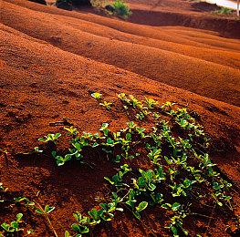 玩家游玩《霍格沃茨之遗》超4.06亿小时 击杀22.5亿次黑巫师